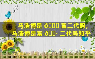 马浩博是 🐝 富二代吗,马浩博是富 🌷 二代吗知乎